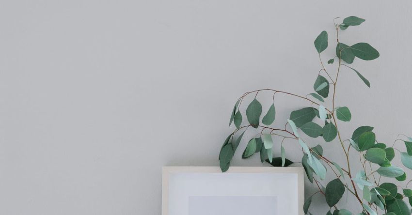 Photo Card - Blank frame and wooden stand with white papers placed on cabinet and composed with red vase with fresh green leaves near wall